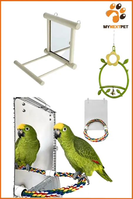 mirror-toys-for-macaw-parrot