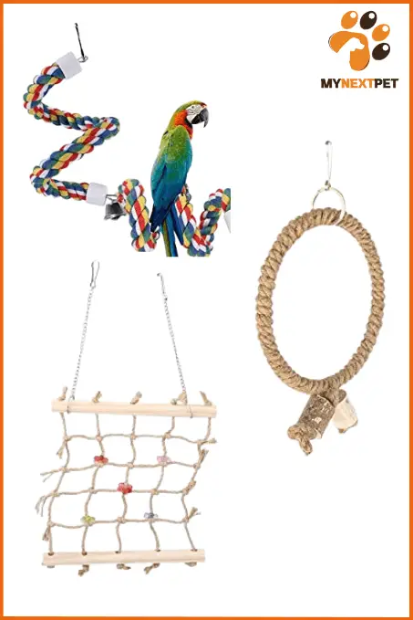 rope-toys-for-birds
