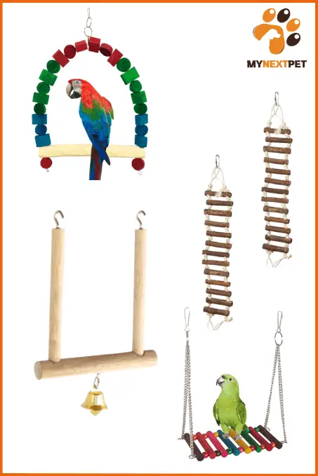 swing-and-ladder-toys-for-birds