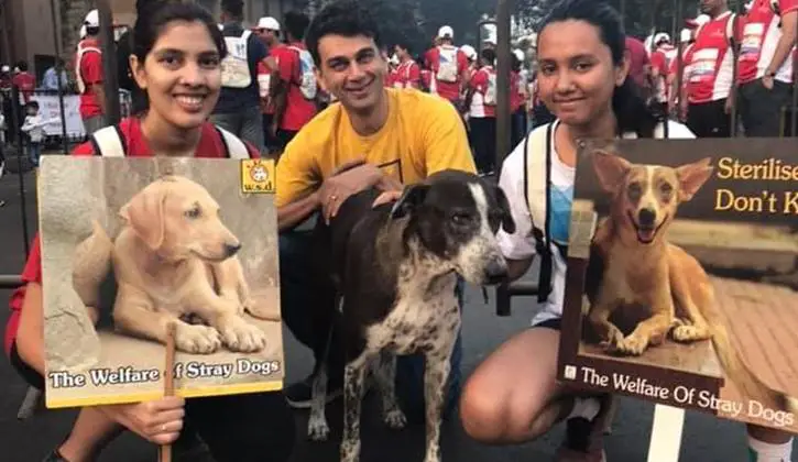 Animal Rescue and Shelter Foundation, Mumbai