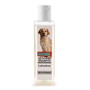Dog Shampoo for Labrador